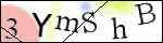 Human Confirmation Code (Captcha)