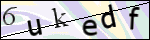 Human Confirmation Code (Captcha)