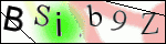 Human Confirmation Code (Captcha)