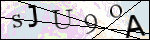 Human Confirmation Code (Captcha)