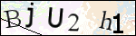 Human Confirmation Code (Captcha)