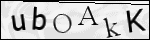 Human Confirmation Code (Captcha)
