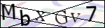 Human Confirmation Code (Captcha)