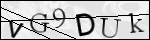 Human Confirmation Code (Captcha)