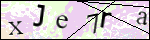 Human Confirmation Code (Captcha)
