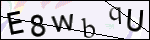 Human Confirmation Code (Captcha)