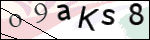 Human Confirmation Code (Captcha)