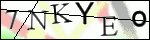 Human Confirmation Code (Captcha)