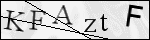 Human Confirmation Code (Captcha)
