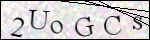 Human Confirmation Code (Captcha)
