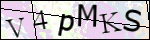 Human Confirmation Code (Captcha)