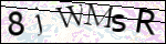 Human Confirmation Code (Captcha)