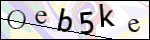 Human Confirmation Code (Captcha)