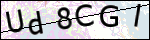 Human Confirmation Code (Captcha)