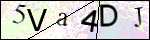 Human Confirmation Code (Captcha)