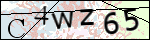 Human Confirmation Code (Captcha)