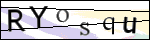 Human Confirmation Code (Captcha)