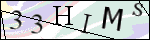 Human Confirmation Code (Captcha)