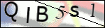 Human Confirmation Code (Captcha)