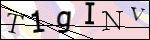Human Confirmation Code (Captcha)