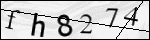 Human Confirmation Code (Captcha)