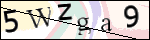 Human Confirmation Code (Captcha)