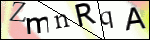 Human Confirmation Code (Captcha)