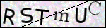 Human Confirmation Code (Captcha)