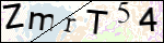 Human Confirmation Code (Captcha)