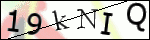 Human Confirmation Code (Captcha)