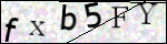 Human Confirmation Code (Captcha)