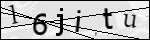 Human Confirmation Code (Captcha)