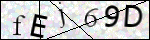 Human Confirmation Code (Captcha)