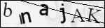 Human Confirmation Code (Captcha)