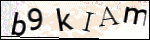 Human Confirmation Code (Captcha)