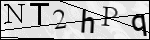 Human Confirmation Code (Captcha)