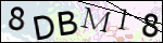 Human Confirmation Code (Captcha)