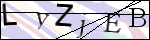 Human Confirmation Code (Captcha)