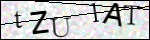 Human Confirmation Code (Captcha)