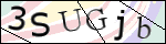 Human Confirmation Code (Captcha)