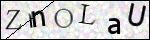 Human Confirmation Code (Captcha)