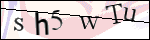 Human Confirmation Code (Captcha)