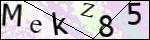 Human Confirmation Code (Captcha)