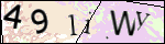 Human Confirmation Code (Captcha)