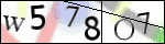Human Confirmation Code (Captcha)