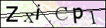 Human Confirmation Code (Captcha)