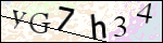 Human Confirmation Code (Captcha)