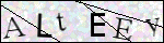 Human Confirmation Code (Captcha)