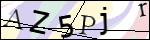 Human Confirmation Code (Captcha)