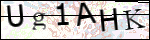 Human Confirmation Code (Captcha)